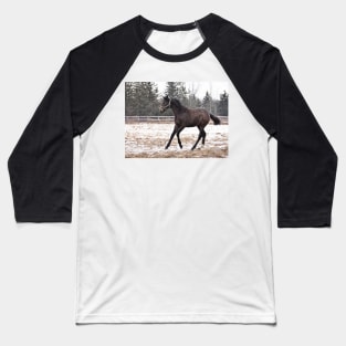 TB COLT Baseball T-Shirt